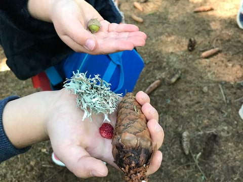 animation-volcan-lemptegy-maternelle