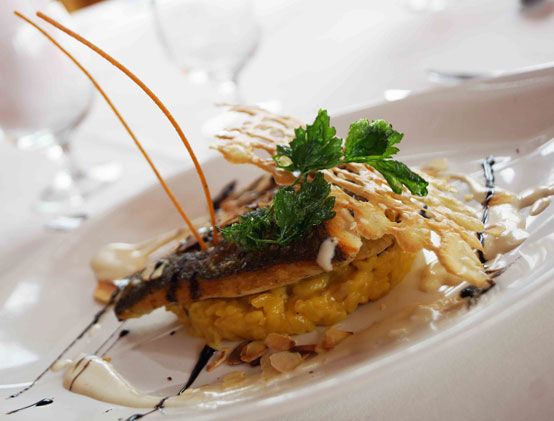 Volcan-lemptegy-assiette-restaurant